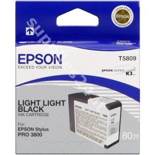 ORIGINAL Epson Cartuccia d'inchiostro light light black C13T580900 T5809 80ml in vendita su tonersshop.it